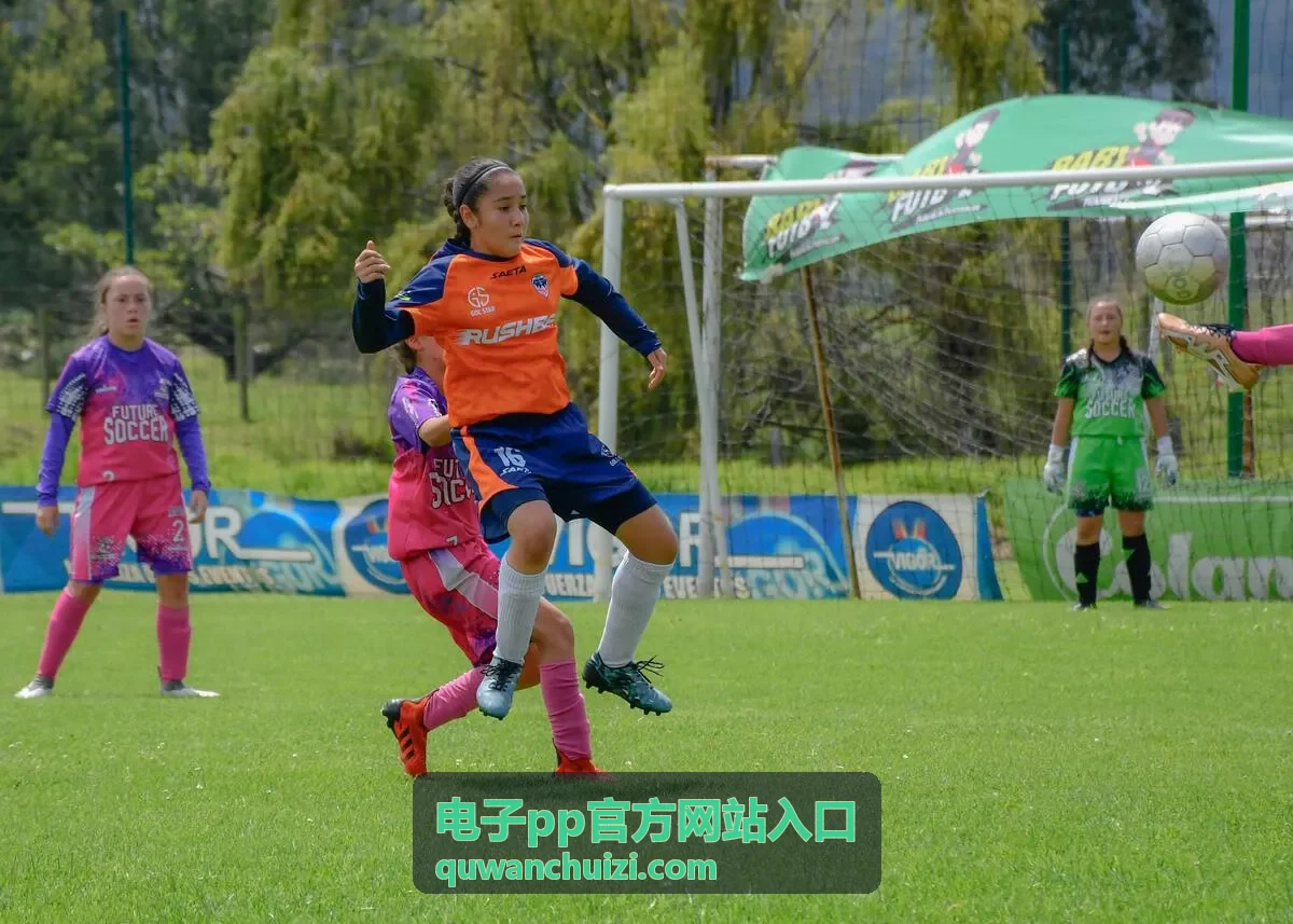 电子pp官方网站入口账号登录使用场景示意