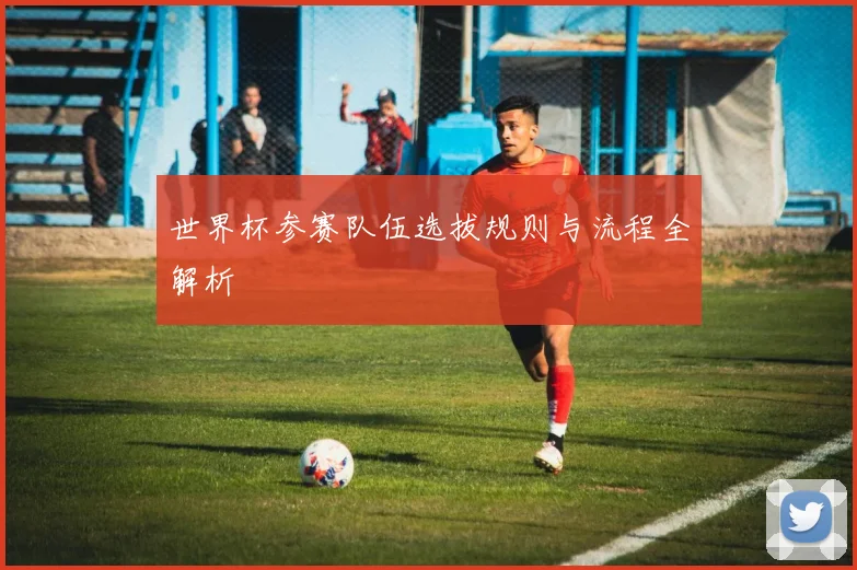 世界杯参赛队伍选拔规则与流程全解析