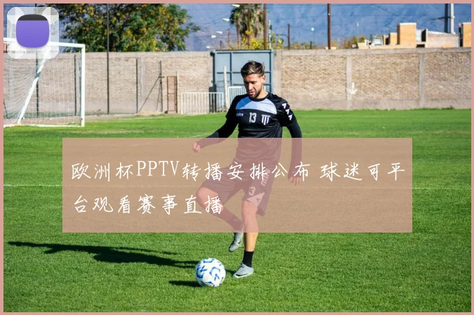 欧洲杯PPTV转播安排公布 球迷可平台观看赛事直播