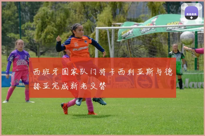 西班牙国家队门将卡西利亚斯与德赫亚完成新老交替