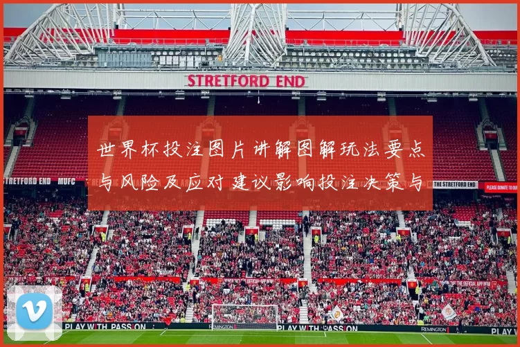 世界杯投注图片讲解图解玩法要点与风险及应对建议影响投注决策与监管