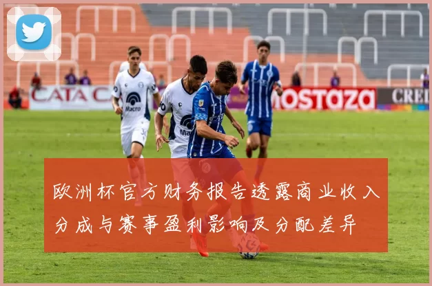 欧洲杯官方财务报告透露商业收入分成与赛事盈利影响及分配差异